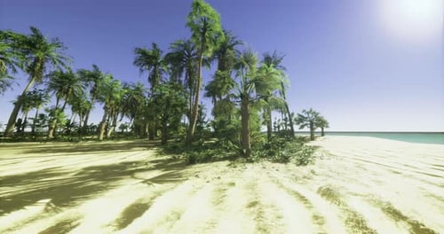 Idyllic Tropical Beach with Palm Trees and Clear Blue Sky Near the Ocean