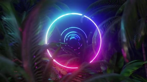 Neonrahmen im Dschungel