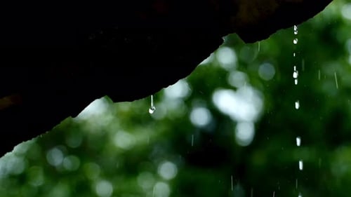 Water Drop Falling