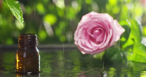 Mischung aus ätherischen Ölen mit Wassertropfen, Düften und Aromen in der Aromatherapie für Wellness und Spa.
r
