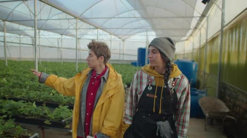 Female Farm Workers Walking in Greenhouse and Speaking