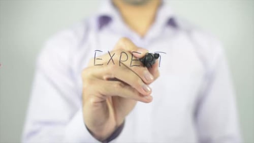 Expert