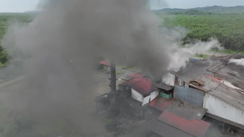 A Factory Emits Smoke Near the Lush Palm Plantations in Costa Rica