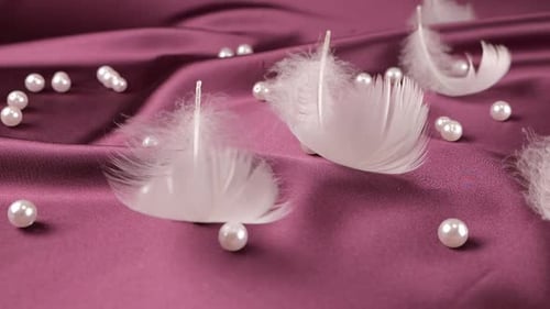 White swan feathers fall on violet plum silk with pearls. Slow motion.