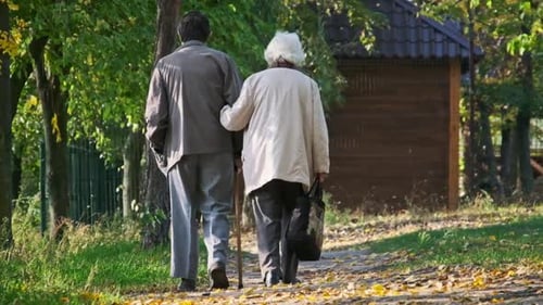 Senior Couple Holding Hands While Walking Together in Autumn Park Slow Motion