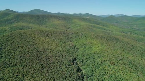 Aerial High Altitude View of the Green Hills Covered with Lush Trees Dense Forest