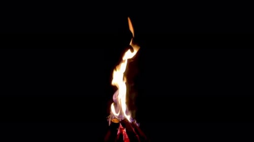 Flamme aus Brennholz