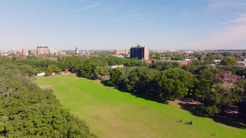 Luftbild der Anbaufläche des Forsyth Park in Savannah, Georgia
