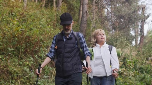 Elderly Pensioners with Backpacks and Hiking Sticks Walk on the Narrow Forest Trail in the Middle of