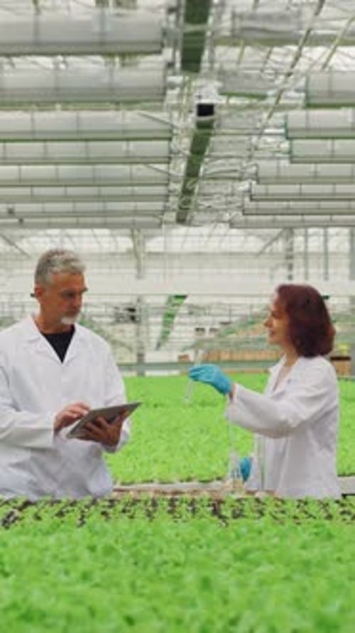 Scientists Analyze Plant Growth in Modern Greenhouse