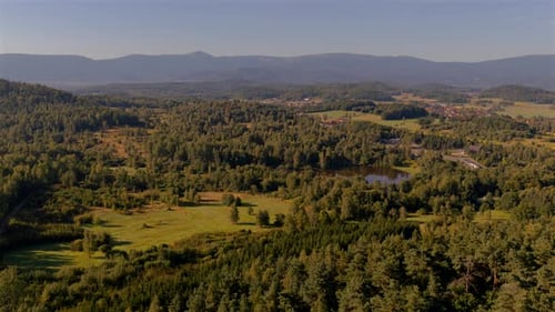 Aerial View of Verdant Hills and Forest
