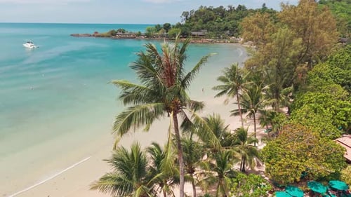 Tropical Beach Paradise with Palm Trees and Turquoise Water