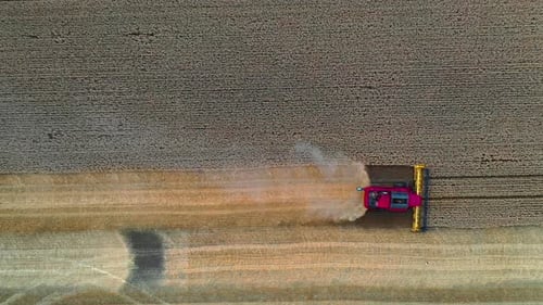Vue aérienne de la moissonneuse-batteuse travaillant dans le grand champ de blé.