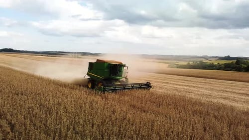 Combine Harvesting Wheat in Golden Rural Field