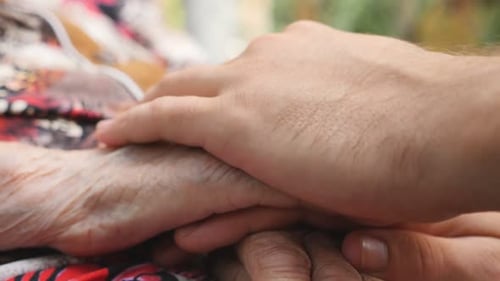 Side View of Young Male Arms Stroking an Elderly Hands of His Old Grandmother Outdoor Family