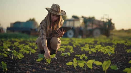 Botanist Agronomist Woman with Tablet Works on Farm Field Checks Plants Growth Collects Data