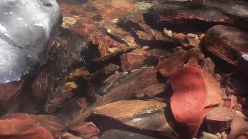 Close up of rocks seen through the water of a crystalline river