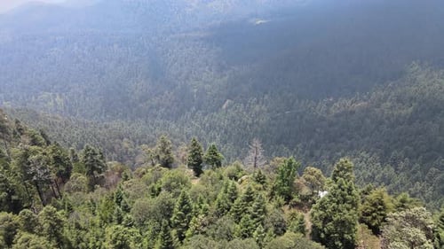 Fahren Sie geradeaus über dem Wald inmitten der Berge