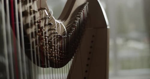 Harp Musical Instrument in Dark Studio with Dim Light