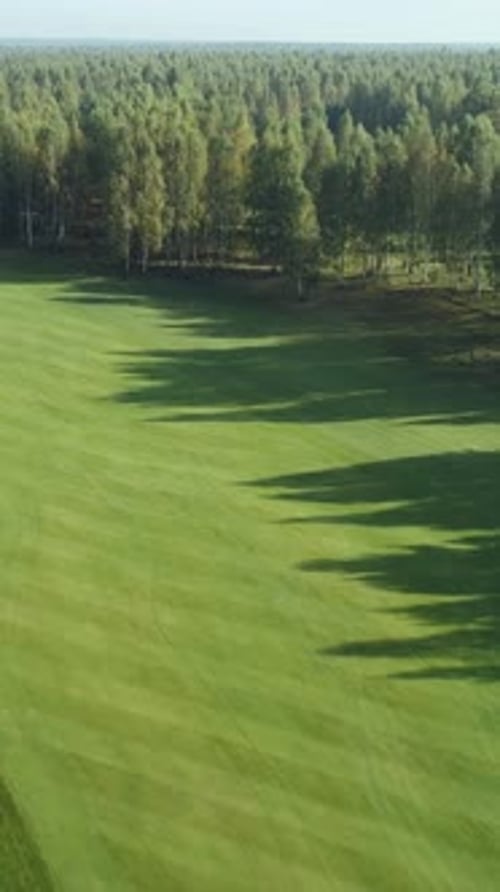 Green Fields in Summer Day Aerial View of Golf Course in Forest Area Golf Club View of the Field of