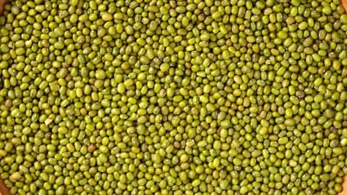 Semillas de frijol mungo para germinar en un plato de madera girando