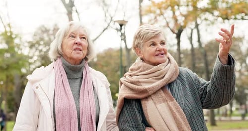 Senior, friends and women in a park bond, walking and enjoying conversation outdoor together