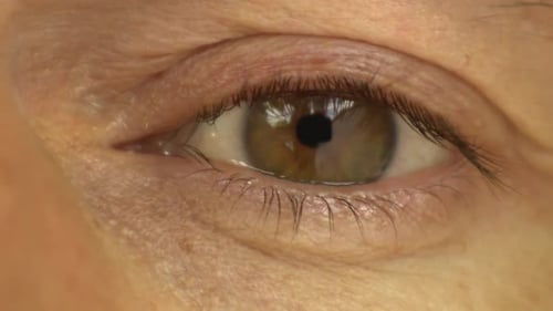 Close-up of a European human eye opening and closing