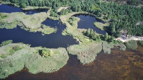 Aerial View of Lake Surrounded by Green Forests