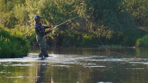 Fly fishing. Man fly fishing on the wild river with lots of insects flying in the air