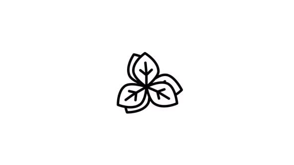 Basil Animated Icon With Alpha Channel, Elements Motion Graphics ft ...