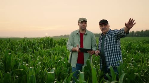 Farmers Using Tablet in Crop Field at Sunrise