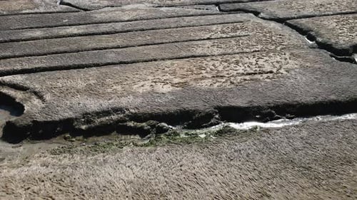 Backward aerial footage of Salt Marshes at Scituate in MA, Showing channels in the Marsh land. Dron