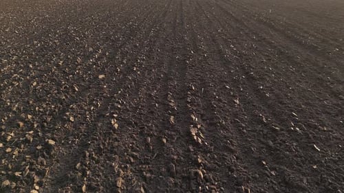 Landwirtschaftliches Ackerland Feld 65