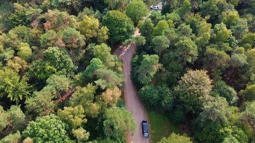 Aerial view of a forested area with two winding paved roads and sparse traffic. Dense green canopy