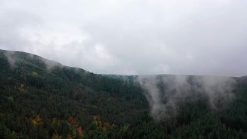 Aerial View of Beautiful Autumn Trees on a Foggy Morning Foggy Clouds Hover Over a Forest in the