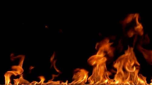 Fire flame burning on dark blackg background.