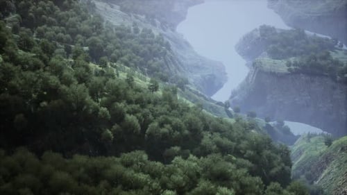 Eine Luftaufnahme des tropischen Regenwaldes im Morgennebel