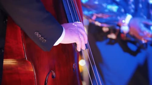 A Jazz Concert in the Concert Hall A Man Playing