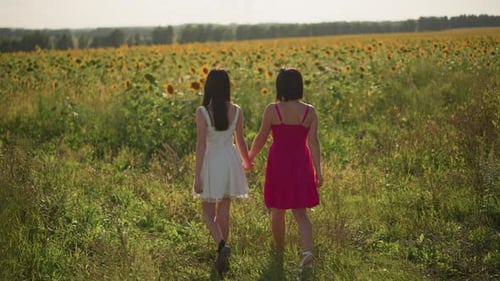 Pair of Women Explore Vast Sunflower Expanse During Evening Two Women Journey Across Sea of