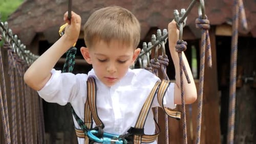 Portrait of brave boy walking over obstacles at rope park in forest