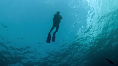 Eine Person, die auf der Meereswasseroberfläche schwimmt, macht sich bereit, im blauen Meer zu tauchen