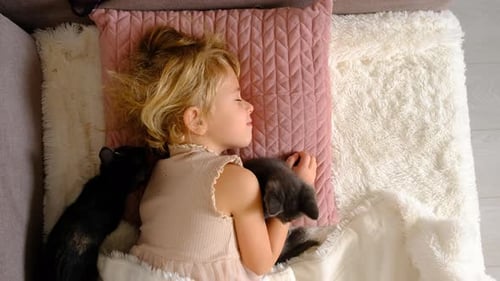Girl Sleeping with Kittens Cuddling on Pillow