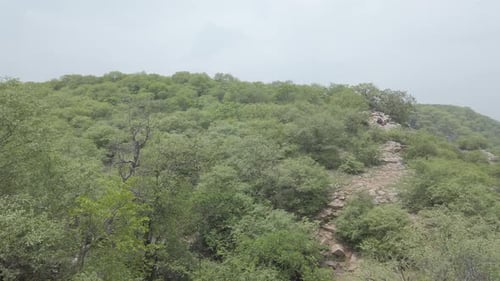 Top of mountain to the jungle pan shot
