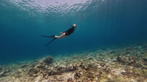 Female Freediver Swims Underwater in the Tropical Sea