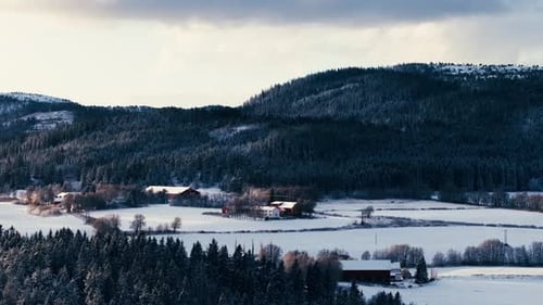 Coniferous Forest Mountain On A Countryside Farm Village During Winter In Indre Fosen, Norway. Aeria