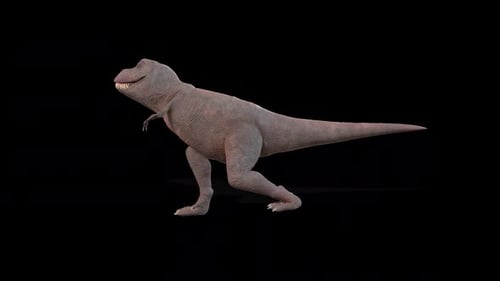 Cool Walk mit Dinosauriern