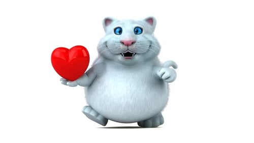 Fun cat - 3D Animation