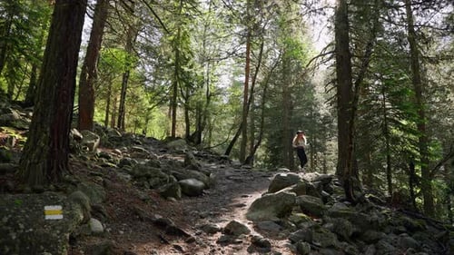 Woman Hiking in Mountains Hiker with Backpack Walking Rocky Trail Summer Outdoor Adventure in Nature