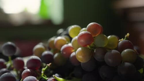Close Up of Fresh Colorful Bunch of Grapes