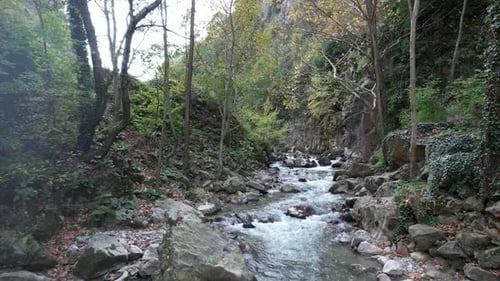 Aerial Stream in Nature